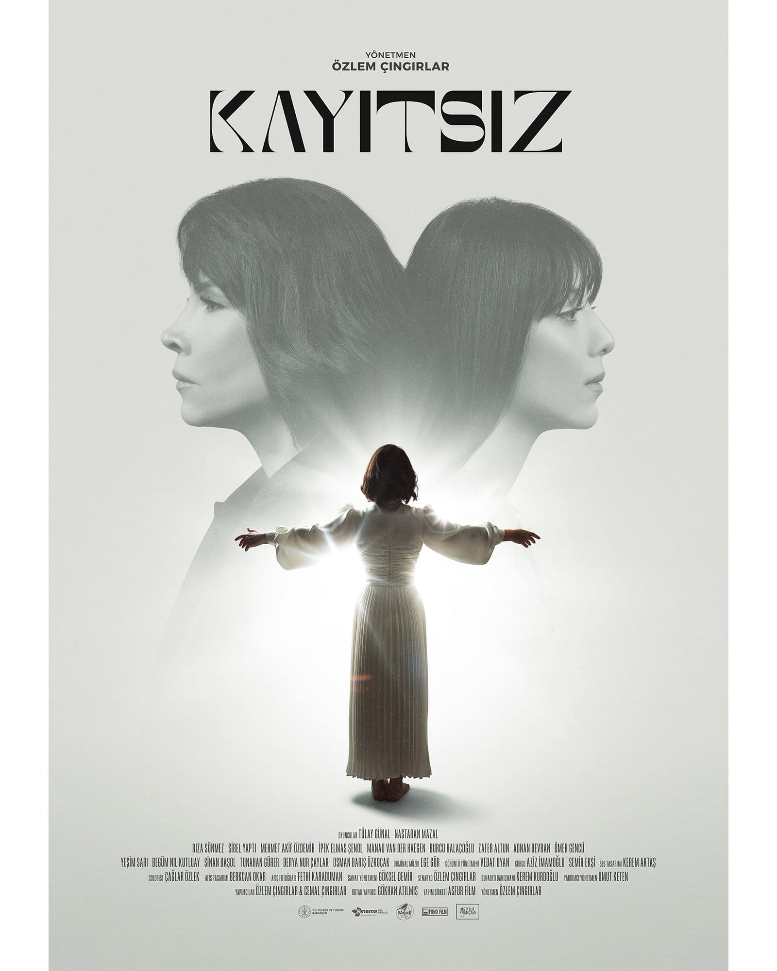 Kayıtsız