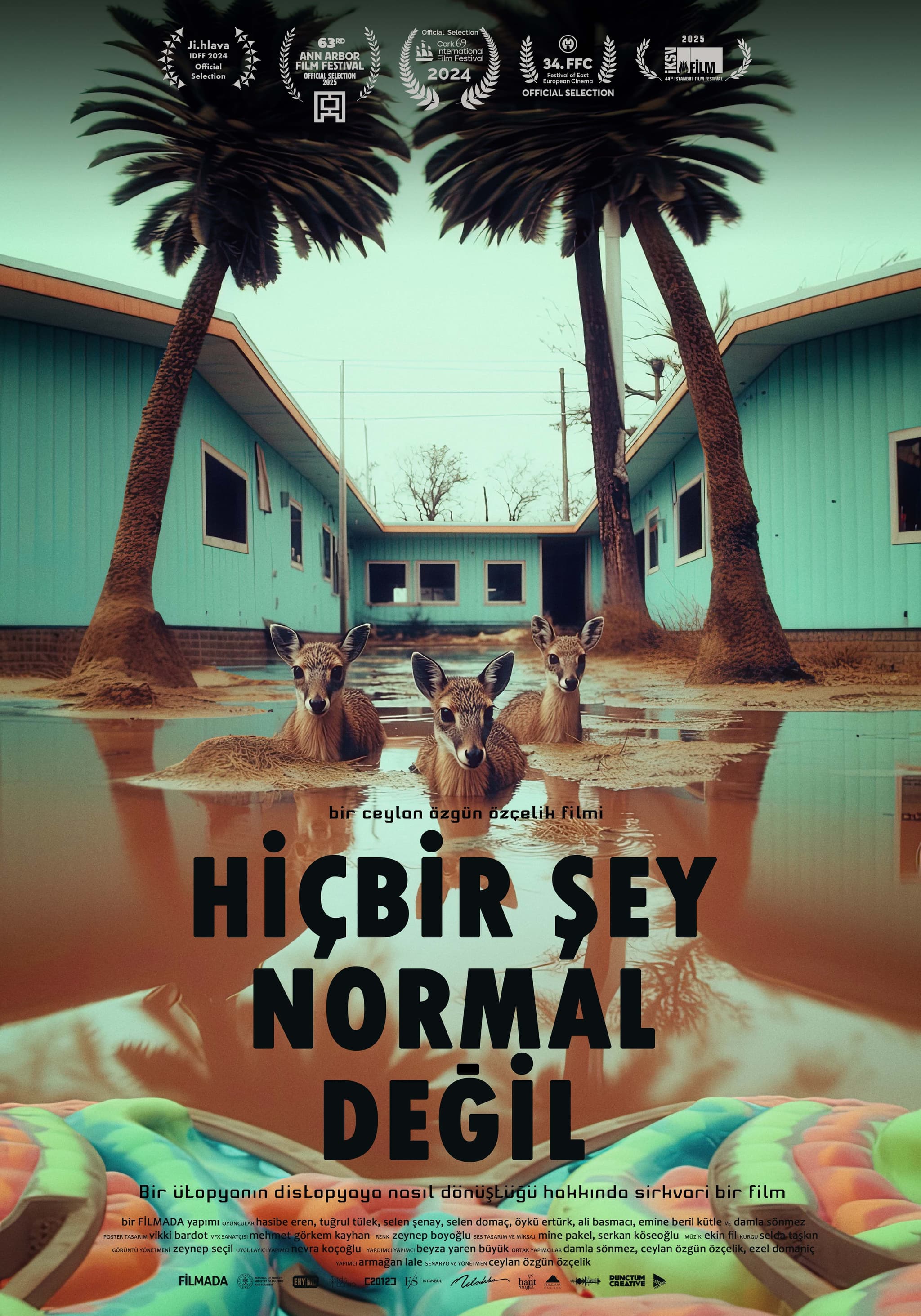 Hiç bir şey normal değil
