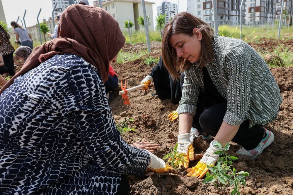 Kadın Komün Kent Bostanı’nda fideler toprakla buluştu
