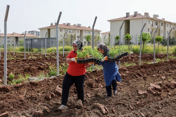 Kadın Komün Kent Bostanı’nda fideler toprakla buluştu 1