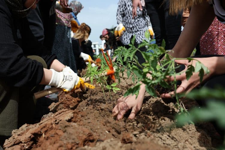 Kadın Komün Kent Bostanı’nda fideler toprakla buluştu 2