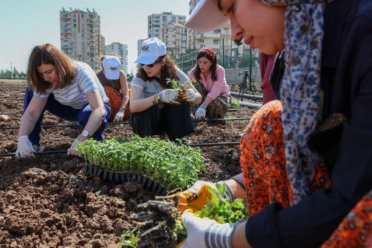 Eşbaşkan Bucak, kadınlarla birlikte Komün Bostanı’nda fide dikti 2