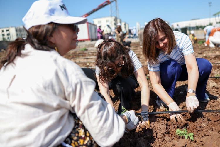Eşbaşkan Bucak, kadınlarla birlikte Komün Bostanı’nda fide dikti 8