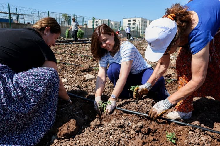 Eşbaşkan Bucak, kadınlarla birlikte Komün Bostanı’nda fide dikti 13