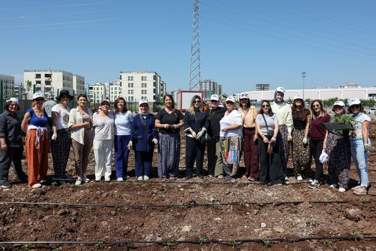 Eşbaşkan Bucak, kadınlarla birlikte Komün Bostanı’nda fide dikti 15