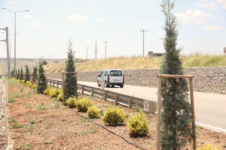 Diyarbakır’a 14 kilometrelik yeşil koridor 5