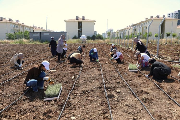 Kadınlar dayanışmayla üretiyor, komünal yaşamı büyütüyor 7