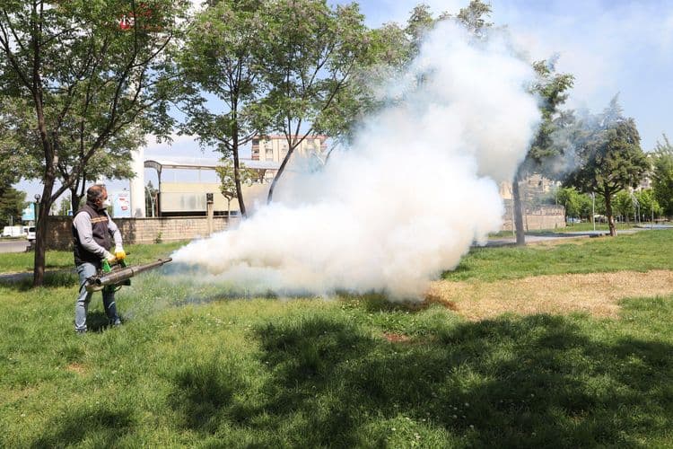 17 ilçede haşereyle mücadele aralıksız sürüyor 5