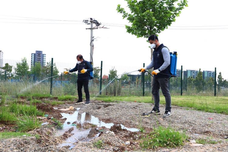 17 ilçede haşereyle mücadele aralıksız sürüyor 9