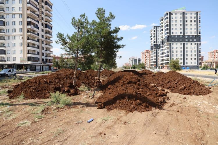 60 bin metrekarelik bulvar peyzajla yenileniyor 6