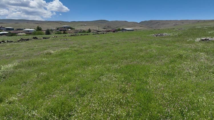 DBB ekipleri 1750 dekar çeltik arazisini susuz kalmaktan kurtardı 4