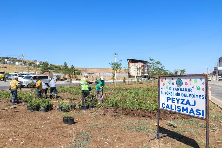 Mardin yolu 14 bin 200 gülle renklenecek 2