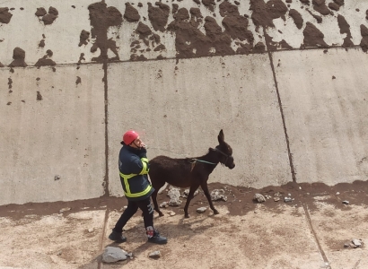 Tîmên Îtfaiyê kerê ku ketibû coya avdanê rizgar kir