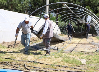 Şaredarî kapasîteya hilberîna nebatan zêde dike