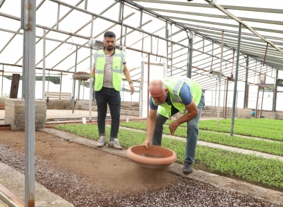 Çatrayîr û refujî bi yew mîlyon vilikan yenê xemilnayene