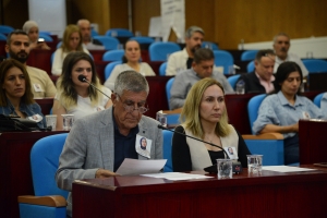 Rojîn Kabaîş, kombîyayîşê Meclîsê Şaredarîya Şaristanê Girdî de ameye vîrardene