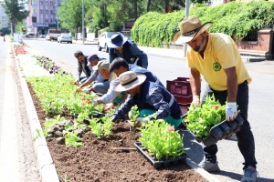 200 bin çiçek toprakla buluşacak