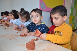 Atolyeya Topanê Toximî seba Domanan ame organîzekerdene