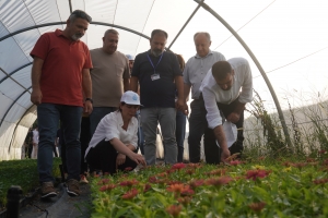 Hemşaredaran, Tesîsê Sporî yê Şilbe û Fîdanlikî de etud kerd