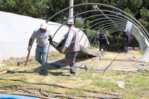 Şaredarî kapasîteya hilberîna nebatan zêde dike