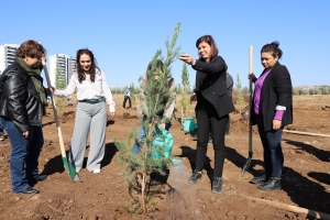 Eş Başkan Bucak: Kadına yönelik şiddete karşı mücadelemiz başarıya ulaşacak