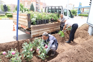 Güller, refüj ve parklara renk kattı