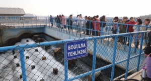 DÎSKÎ&#039;yê ji bo xwendekaran xebateke hişyariyê ya der barê avê de pêk anî