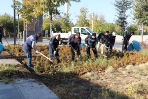 Yenişehir Millet Bahçesinde kapsamlı çalışma başlatıldı