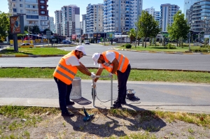 Ji bo &#039;bajarekî paqij&#039; li kolan û bulvaran gilêşdank tên danîn