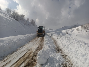 5 qezayan de rayîrê 61 taxan vewre ra pak bîyî