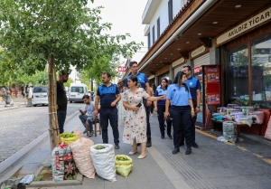 Zabite dijî dagirkirina peyarêyan sehêtiyê dike