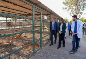 Eş Başkan Bucak, İlaçlama Birimi ve hayvan barınağında incelemelerde bulundu