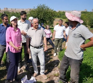 Hevşaredar Bucak Baxçeyên Hevselê û Geliyê Dîcleyê saxtî kir