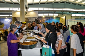 Şaredarîya Amedî ya Şaristanê Girdî bajarî dana şinaşnayene