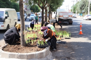 Bulvar ve caddelerde peyzaj çalışması yapıldı