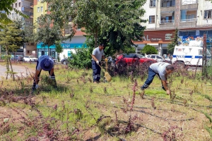 Yenişehir Millet Bahçesinde temizlik ve bakım çalışmaları gerçekleştiriliyor