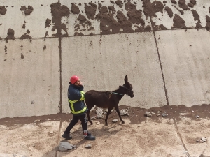 Tîmên Îtfaiyê kerê ku ketibû coya avdanê rizgar kir